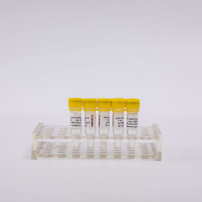2019-NCoV-AbEN Pseudovirus 1ml Nukleinsäure-Extraktions-Ausrüstung