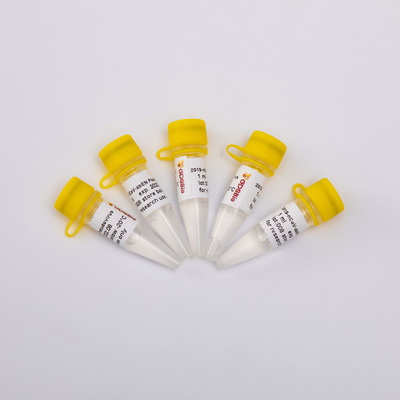 2019-NCoV-AbEN Pseudovirus 1ml Nukleinsäure-Extraktions-Ausrüstung