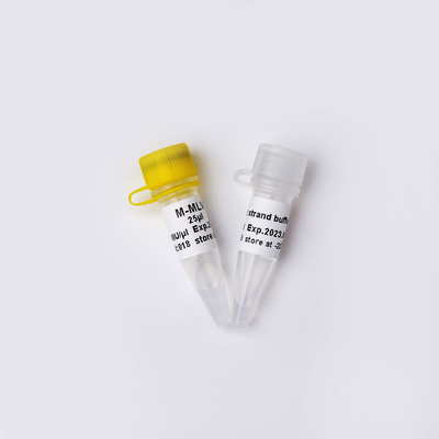 M-MLV Rückseiten-Transkriptase PCR-Reagenzien R1042