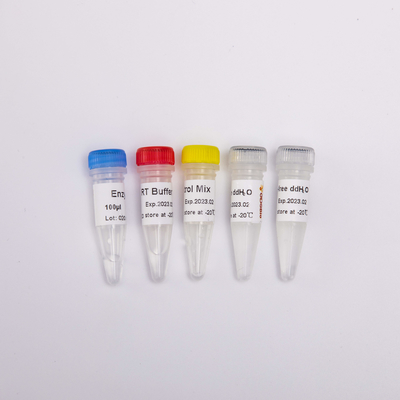 GDSBio-Rückseiten-Transkriptase PCR-Reagenzien