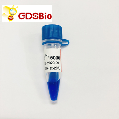 DNA-Marker-Elektrophorese DS LD 15000bp 15kb 50 Vorbereitungen