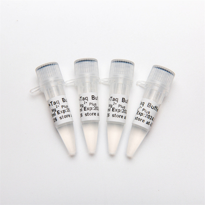 Puffer PCR-10× (Mg2+ plus) P5011 1.25ml×4