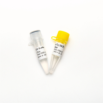 Enzym P1101 QPCR-Hotstart Taq DNA-Polymerase-RT-PCR