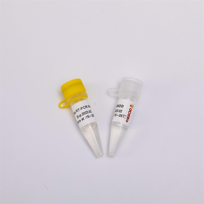 RNS Rückseiten-Übertragung und Endpunkt Funktelegrafie PCR-Mischung RP1001 PCR-Kit One Step