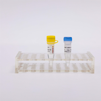 Hitzelabiles Antienzym-Molekularbiologie der verschmutzungs-UDG für QPCR R5001 1 U/μL