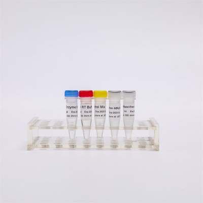 Mischte erste Mischung R1031 GDSBio der Strang-CDNA Synthese-RT-PCR für QPCR RNS Rückseiten-Transkriptase PCR-Reagenzien vor