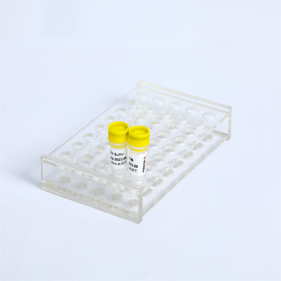 DNA-Polymerase Exonuclease Bst mischung PCR P1113 Vorlagenminus 8000 U/mL