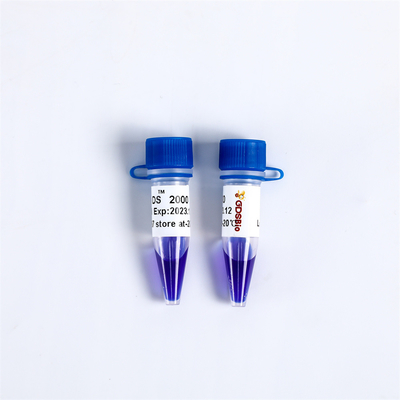 Nukleinsäure-Färbungs-DNA-Marker-Elektrophorese für die Paarung von LD DS 2000 LM1101 LM1102