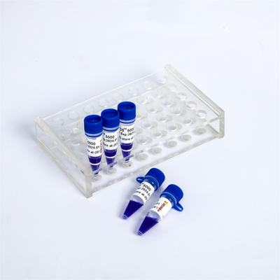 DNA-Marker-Elektrophorese-Leiter LM111 Nukleinsäure-Färbung LD DS 5000