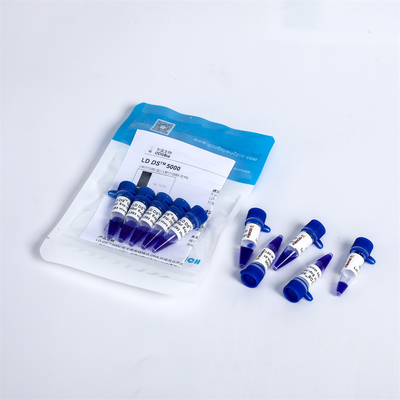 DNA-Marker-Elektrophorese-Leiter LM111 Nukleinsäure-Färbung LD DS 5000