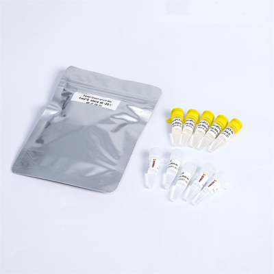 MISCHUNGS-Ausrüstung 400 PCR P2101 Vorlagenreaktion Rxn 20μL
