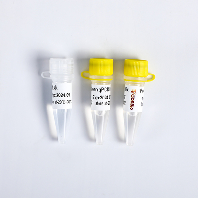 MISCHUNGS-Ausrüstung 400 PCR P2101 Vorlagenreaktion Rxn 20μL