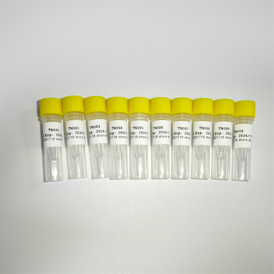100 rxns NGS Bibliotheks-Bau PCR-Verstärkung TN-Zündkapsel-Index-Liste A K211-A