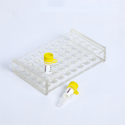 Farblose PCR-Vorlagenmischung mit UDG-GASCHROMATOGRAPHIE Vergrößerer PM2001 PM2002 PM2003