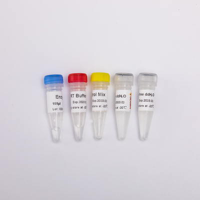 R1031 GDSBio Funktelegrafie-Mischung für QPCR mischte Rück-Transkriptase PCR-Reagenzien vor