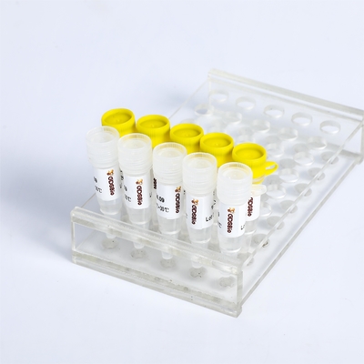 KASP PCR Master Mix P4021 P4022 SNP InDels nachweisbar